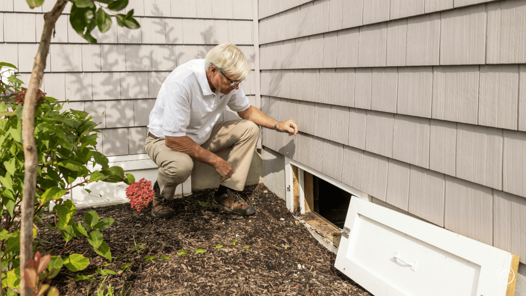 VA Termite Inspection Secrets Every Military Homebuyer Should Know